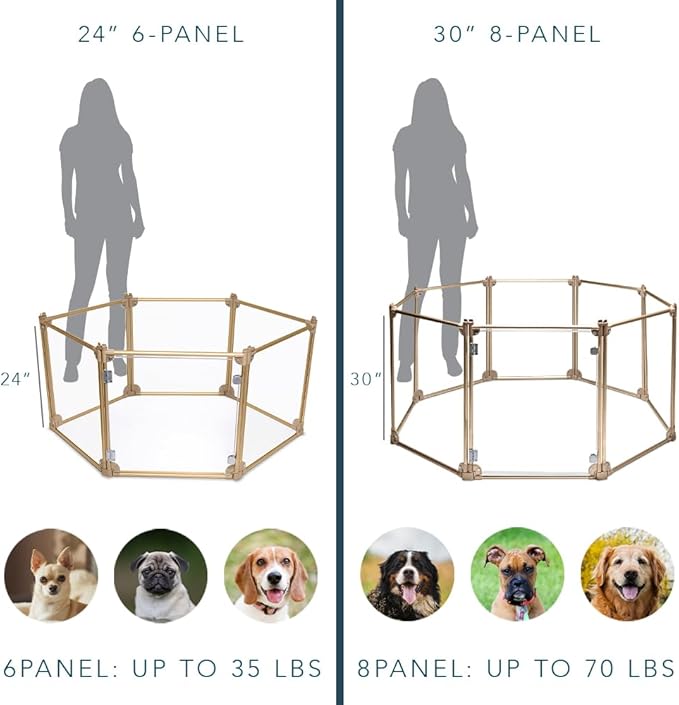 Front Row Foldable Dog Playpen – Durable and Portable Puppy Playpen for Exercise, Rest & Play – Clear Fence Panels with Aluminum Rods and Crate for Dogs and Other Small Pets (Gold, 8-Panel)