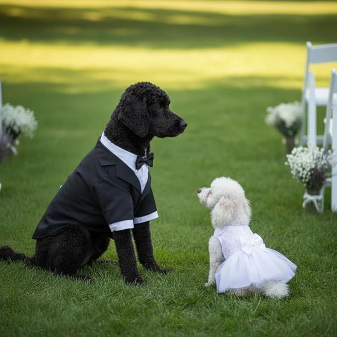 ASENKU Dog Dress Pet Wedding Dress Princess Lace Puppy Birthday Party Outfit Formal Apparel Girl for Small Medium Dogs Cats (XX-Small, White)