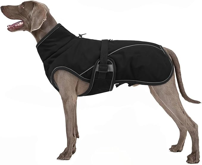 Warm Dog Coat for Winter,Waterproof Jacket with Zipper,Detachable Dog Coat with Adjustable Buckle,Comfortable Jacket for Dogs in Cold and Windy Days.XL Black