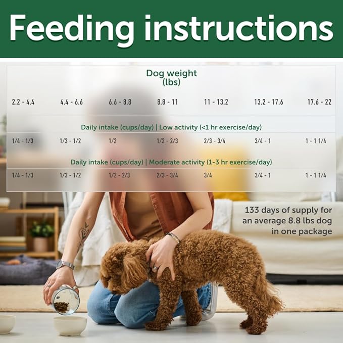 Nature's Protection Superior Care Grain-Free Dry Dog Food - High Protein, Coat Shine Dog Food for Small Breeds Red Coated Adult Dogs, Fresh Pet Meal, Lamb, 22 lb