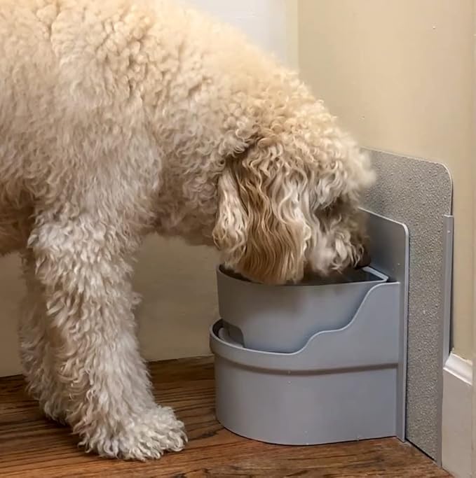 Perpetual Well Automatic Pet Water Bowl (Wall Mount)