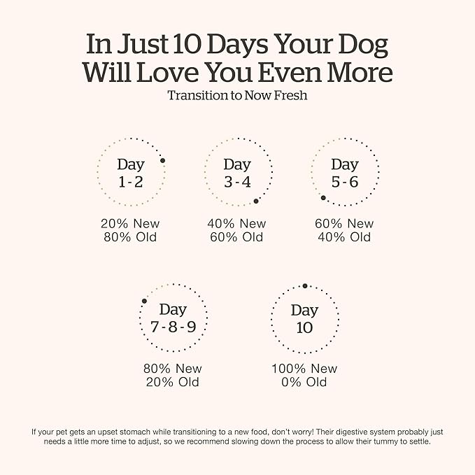 Now Fresh Grain-Free Large Breed Dry Dog Food with Turkey, Salmon & Duck, Premium Kibble for Adults Made with Real Meat & Fish, Chicken-Free, Glucosamine & Chondroitin for Healthy Joints, 25 lb Bag