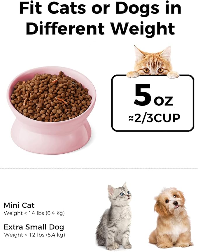 LoeJan Elevated Cat Food Bowl, 5 Oz Ceramic Raised and Tilted Water Bowl, Anti Vomiting and Protect Pets' Spines Dishes for Small Dog, Fat Faced Cat, Kitten (Pink, 1 Pack)