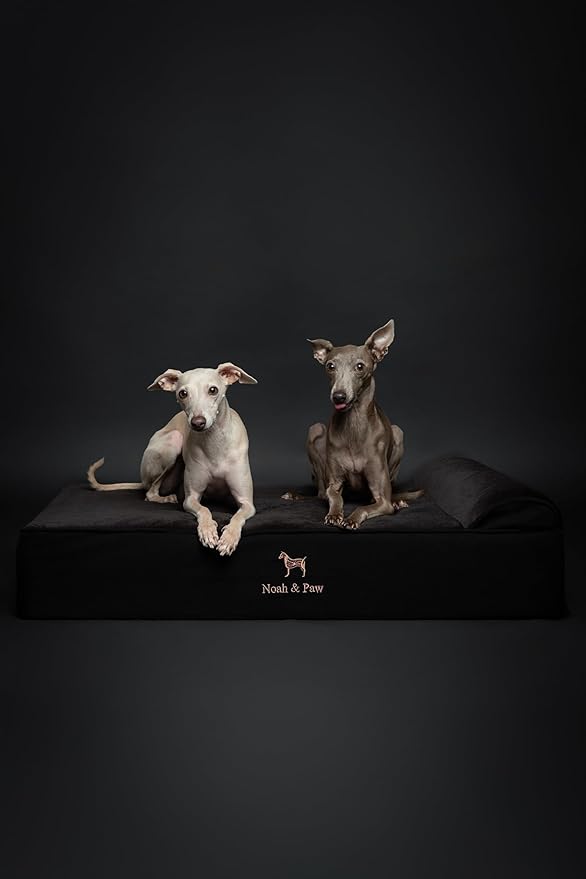 NOAH & PAW Large Dog Bed, 35x25x8.7 Inch, Orthopedic Dog Beds, Eggshell Memory Foam Infused with Cooling Gel, Waterproof, Machine Washable, Includes Inner Cover (Denim Collection)