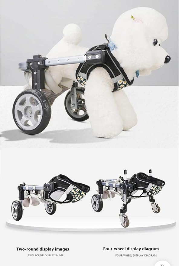 Dog Wheelchair for Back Legs，Adjustable Pets Cart Mobility Aids for Little Pets,Chest & Thigh Support,Suitable Small Medium Dogs (Two Rounds, XS)