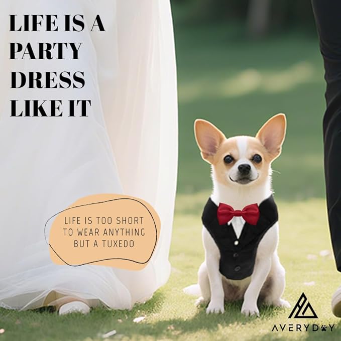 AVERYDAY XS Pet Tuxedo Harness, Wedding Costume Outfit for Small Dogs, Slim Cats and Tiny Pets with 8.3" Neck, 13-14.6" Chest, 10" Max Head Girth, Formal Suit Costume for Mini Breeds