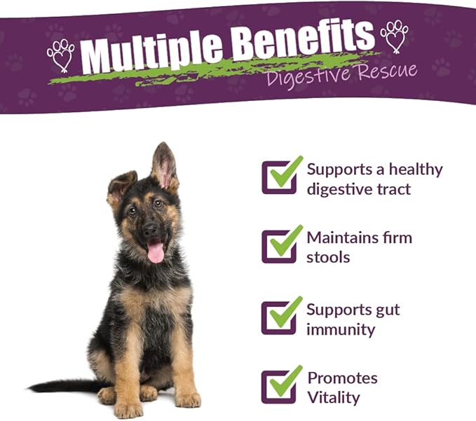 Amber NaturalZ Paxaid Digestive Rescue Herbal Supplement for Dogs and Puppies | Canine Herbal Supplement for Occasional Digestive Upset Support | 4 Fluid Ounce Glass Bottle | Manufactured in The USA