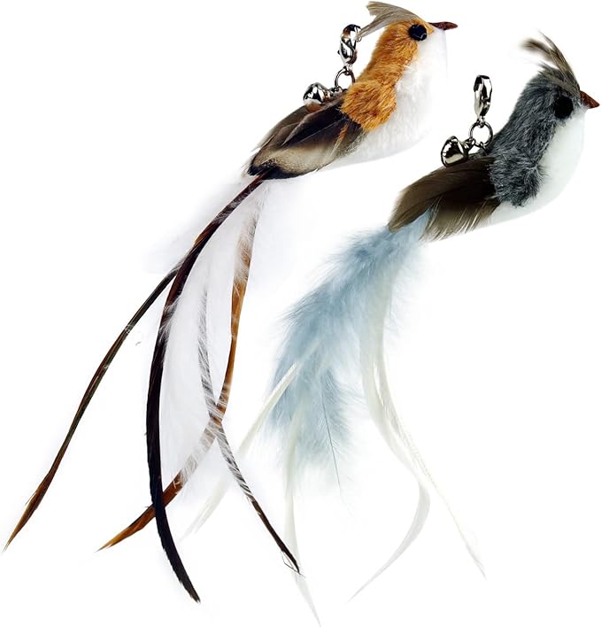 TTcat Cat Feather Toy Replacement Cat Toy Wand Refills, 4 Pcs Simulation Insects Bird Feathers Refills, Cat Toy Replacement Feathers for Cat Wand…