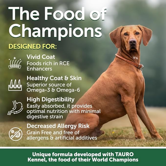 Nature's Protection Superior Care Grain-Free Dry Dog Food - High Protein, Coat Shine Dog Food for Small & Mini Breeds Red Coated All Life Stages Dogs, Fresh Pet Meal, Salmon, 3.3 lb