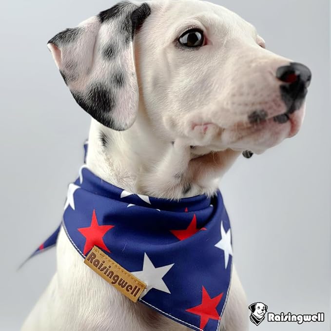 4th of July Dog Bandanas 2 Pack, 4 Pattern Reversible Holiday Bandana for Boy and Girl, Premium Durable Fabric, Summer Triangle Scarf for Medium to Extra Large Breed Dogs (X-Large)