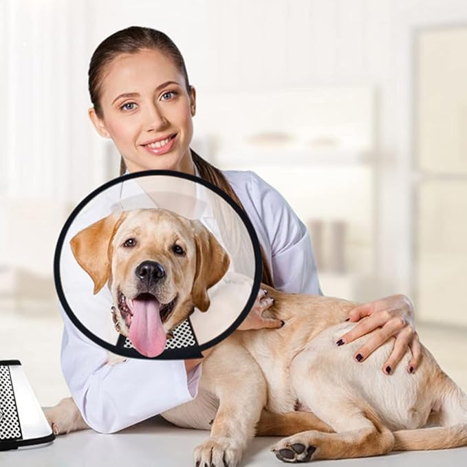 Plastic Pet Recovery Collars & Cones for Dogs and Cats After Surgery Adjustable Dog Neck Cone Surgical Elizabeth E-Collar Prevent Biting and Stop Licking Wound (XS)