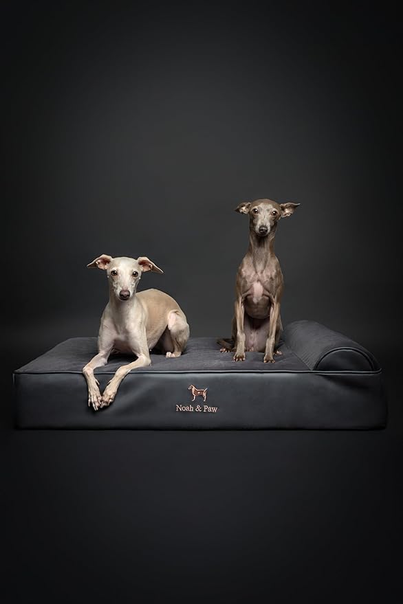 NOAH & PAW Large Dog Bed, 35x25x8.7 Inch, Orthopedic Dog Beds, Eggshell Memory Foam Infused with Cooling Gel, Waterproof, Machine Washable, Includes Inner Cover (Faux Leather)