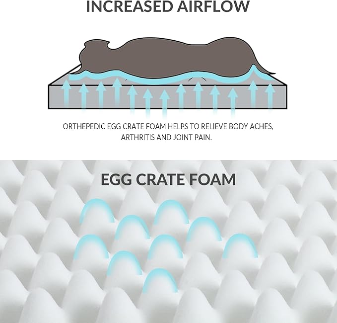 Patas Lague Orthopedic XL Dog Bed Large Sized Dog 42''X28'', Waterproof Soft Comfortable Egg Crate Foam Large Pet Beds Crate Mat with Removable Washable Cover and Nonskid Bottom, Brown