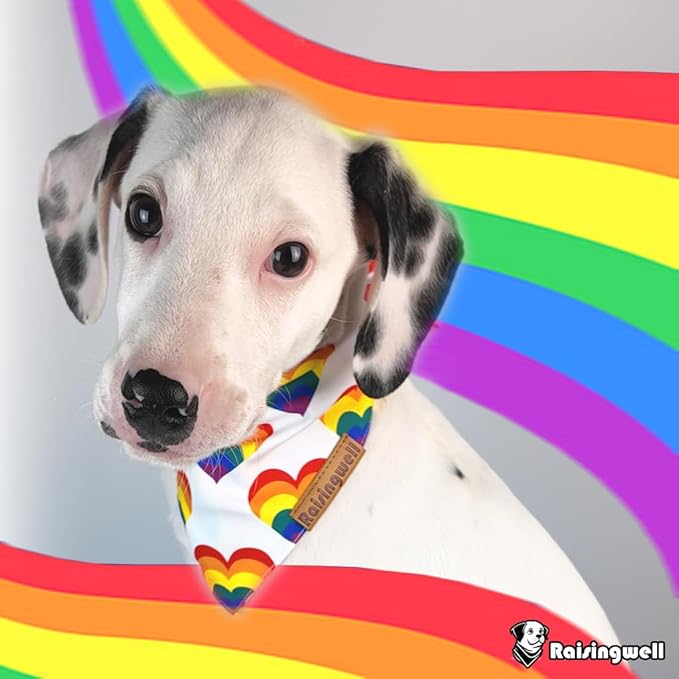 Pride Dog Bandanas 2 Pack, 4 Pattern Reversible LGBTQ+ Rainbow for Boy and Girl, Premium Durable Fabric, Summer Triangle Scarf for Medium to Extra Large Breed Dogs (X-Large)