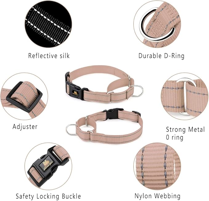 Plutus Pet Reflective Martingale Collar with Buckle - Durable and Adjustable Training Collar for No Pulling, Dog Choker Collar for Small Medium Large Dogs, Beige, S