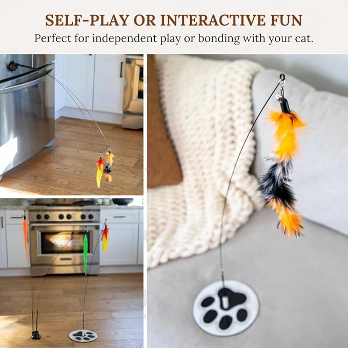 Cat Wand Toy Cat Fishing Pole Toy Cats Feather Toys Suction Cup for Indoor Cats Teaser Wand Feather Attachments Multisurface Base