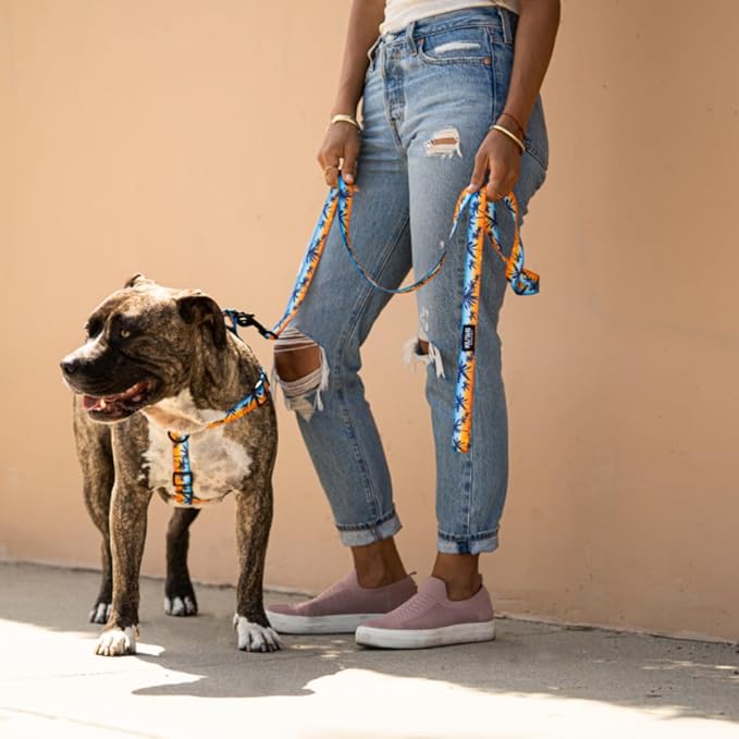 Wolfgang Heavy Duty Adjustable Dog Harness, Pull-Tested to Over 800 lbs for Walking & Training, SunsetPalms Print, Medium