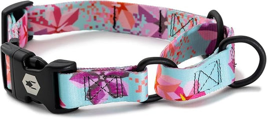 Wolfgang Heavy Duty Martingale Dog Collar with Quick Release Nylon Buckle for Walking & Training, DigiFloral Print, Extra Large