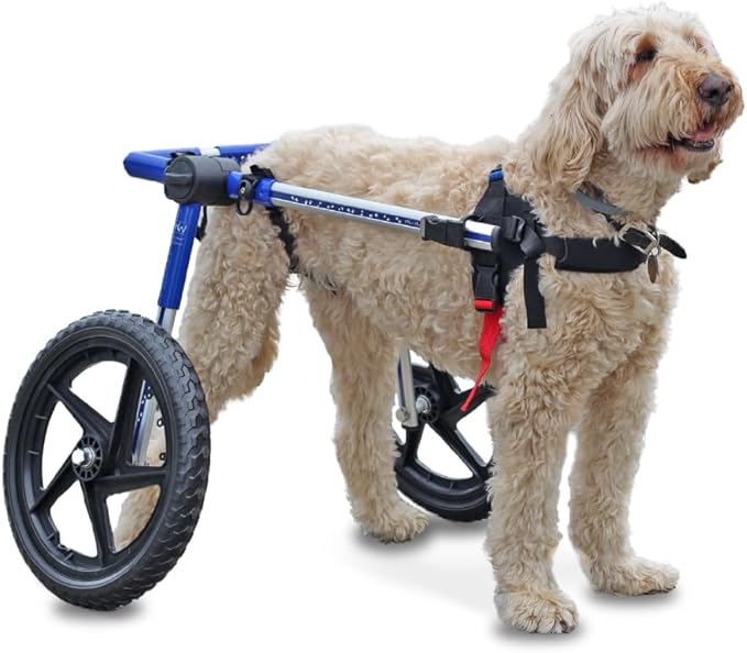 Walkin' Wheels Dog Wheelchair - for Med/Large Dogs 50-69 lbs - Veterinarian Approved - Dog Wheelchair for Back Legs