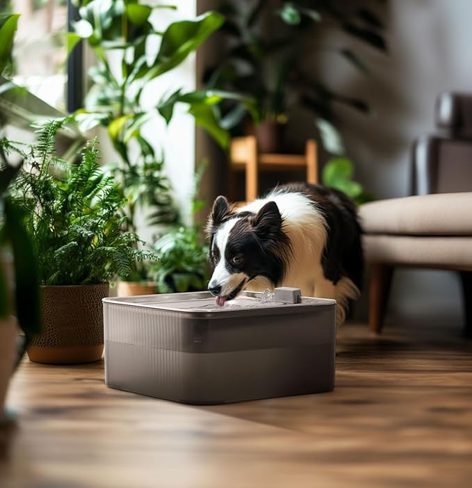 FUKUMARU Dog Water Fountain - 1.8 Gal/236oz/7L Ultra Quiet Pump (28.5dB) & 4-Stage Filter System Stainless Steel & ABS Kitty Water Fountains for Multi-Cat/Dog Homes, with 3 Filters