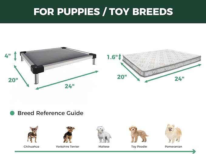 FXW TitanNest Chew-Proof Elevated Dog Bed, Raised Cot for Indoor/Outdoor/Camping Use, Durable & Washable Padded Pet Bed with Exclusive Cover for Toy Dogs, 24.0" L x 20.0" W x 4.1" H, Gray