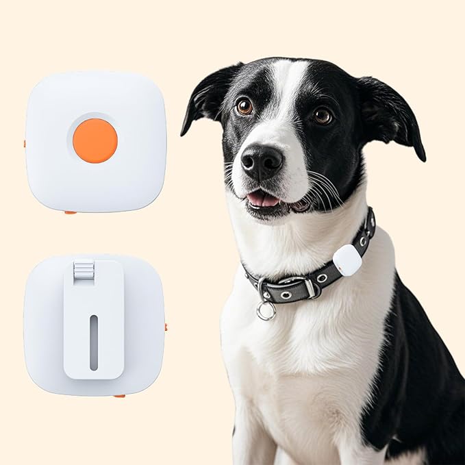 Dog Training Device with Remote Controller, Dog Vibration Collar Correction Device with Vibration, Rechargable Training Tool for Small, Medium and Large Dogs
