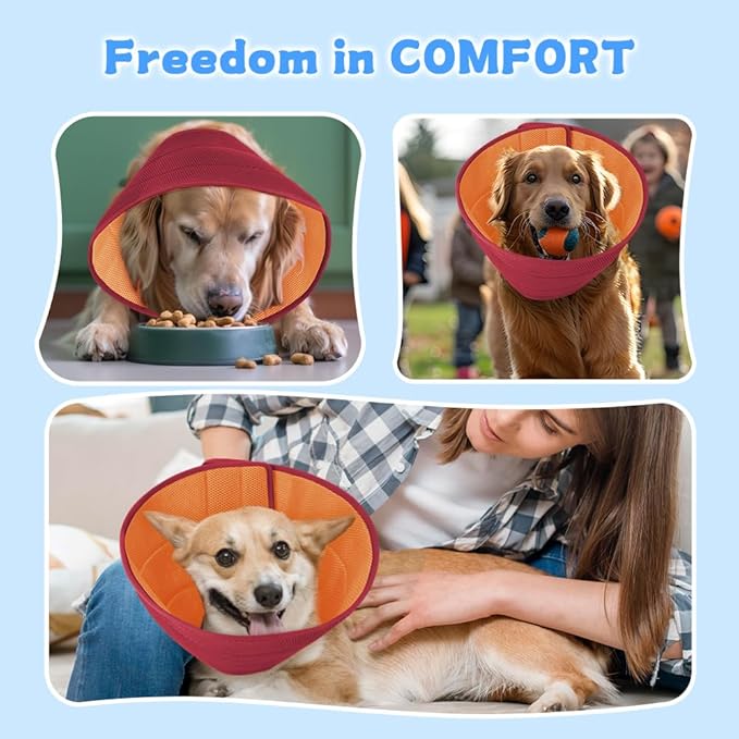 Inspack Soft Dog Cone Collar Alternative, E Cones for Small Dogs/Cat/Puppy to Stop Licking after Surgery, Comfortable All Paws Comfy Elizabethan Collars, Neuter Recovery Ecollars of Shame Alternatives