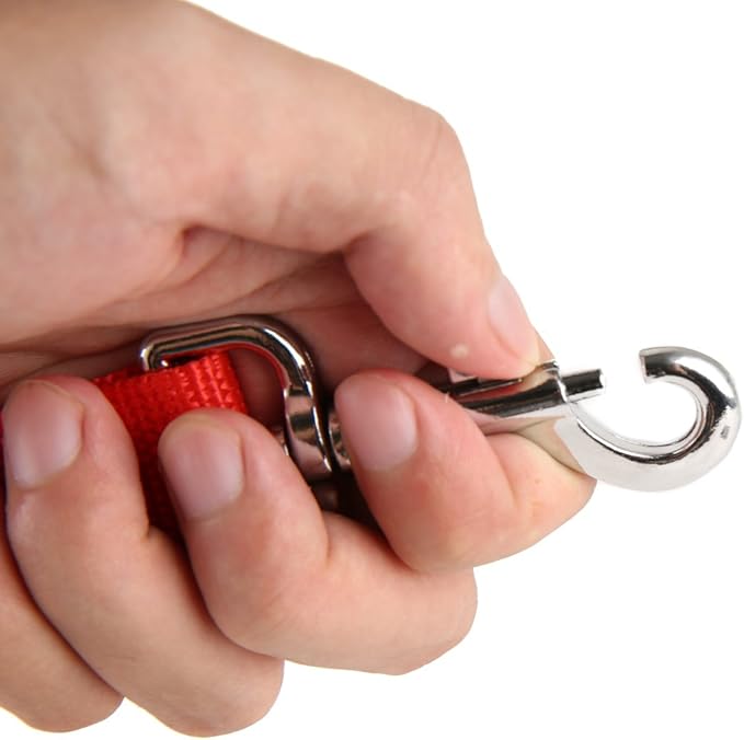 Strong Nylon Dog Leash with 2-Layer, 4 FT/ 6 FT/ 7FT Long, 1 Inch Wide for Medium Large Dogs (Red, 1'' x 2 FT)