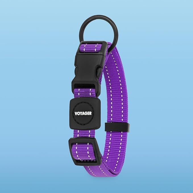 Voyager Reflective Dog Leash Collar Set with Neoprene Handle Supports Small, Medium, and Large Breed Puppies, Cute and Heavy Duty for Walking, Running, and Training - Purple, L