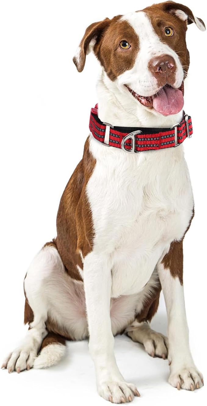 Martingale Collar for Dogs - Reflective Nylon with Padded Comfort & Quick Release Buckle - No Slip Choke Heavy Duty Collar for Safe Training, Walking & Nighttime Use Red M