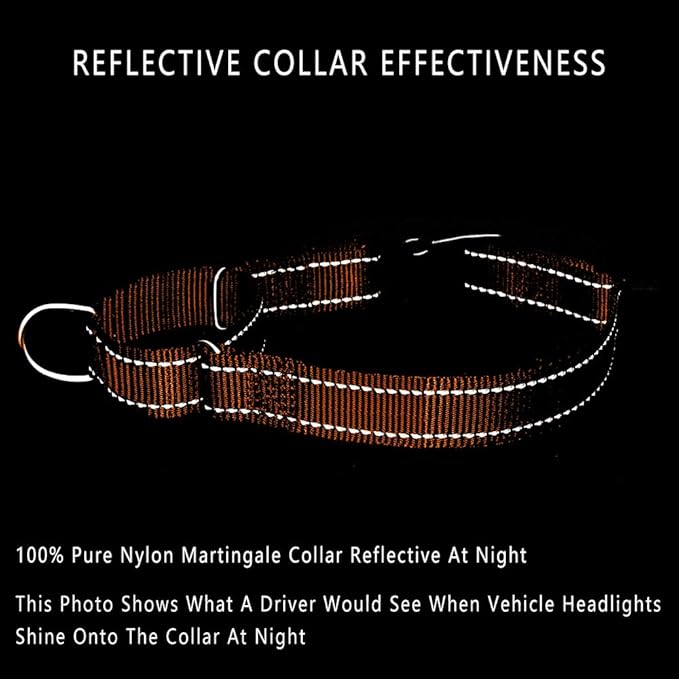 PLUTUS PET Reflective Martingale Collar with Quick Snap Buckle,No Pull Dog Choker Collar for Small Medium Large Dogs,M,Orange