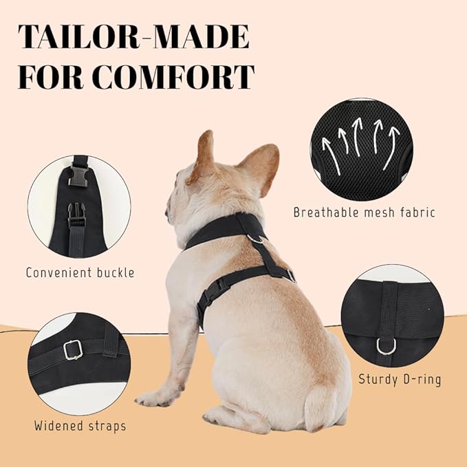 AVERYDAY XS Pet Tuxedo Harness, Wedding Costume Outfit for Small Dogs, Slim Cats and Tiny Pets with 8.3" Neck, 13-14.6" Chest, 10" Max Head Girth, Formal Suit Costume for Mini Breeds