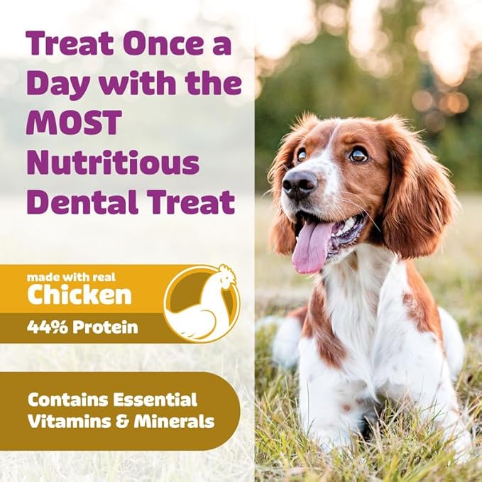 Yummy Combs Longevity15 C15:0 Dog Health Supplement (30-Day Supply) Dog Dental Treats (8oz Bag) for Large Dogs – C15:0 Fatty Acid for Daily Wellness, Food Topper – VOHC Approved Oral Care Treat