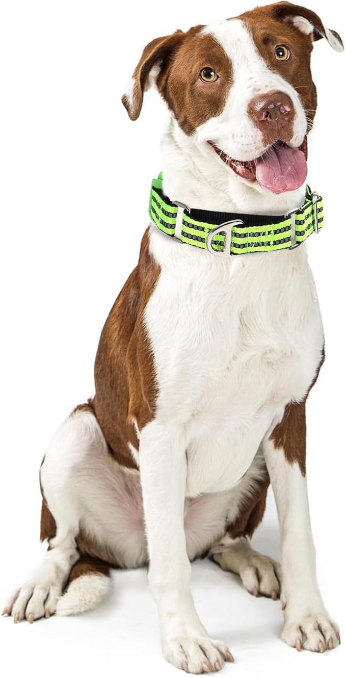 Martingale Collar for Dogs -Reflective Nylon No Slip Choke with Padded Comfort Heavy Duty Dog Collar with Quick Release Buckle for Training, Walking & Overexcited Pulling Green S