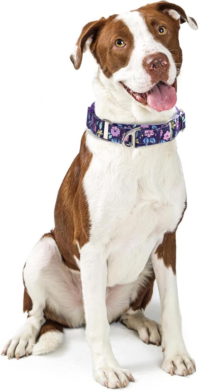 Heavy Duty Martingale Collar for Dogs - Reflective Nylon with Quick Release Buckle & Purple Flowers Design - No Slip Choke Collar for Training, Walking & Nighttime Safety S