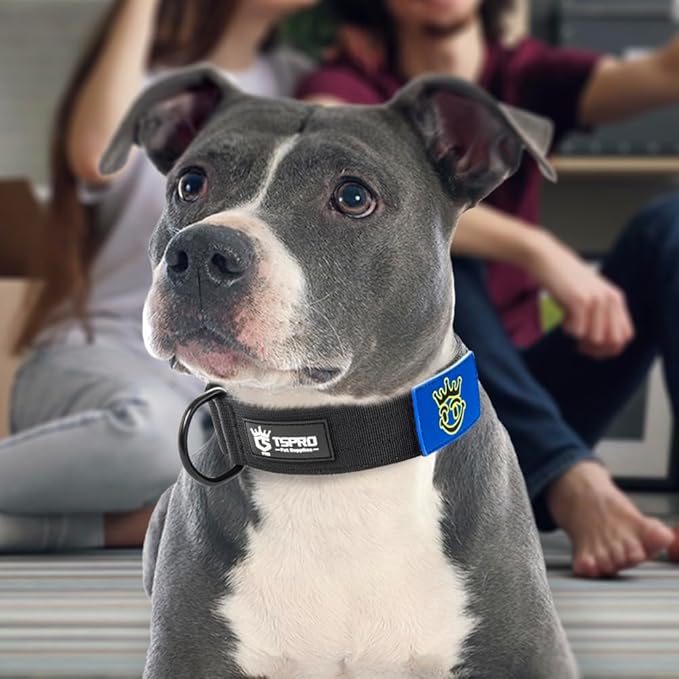 TSPRO Premium Dog Collars Tactical Dog Collar with Patch and Heavy Duty Quick-Release Metal Buckle Durable Thick and Adjustable for Medium to Large Dogs (Black M)