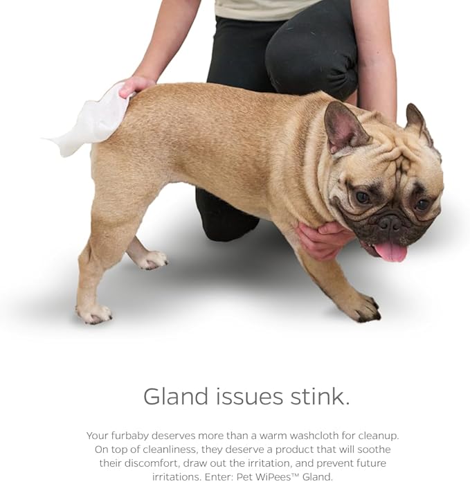 Gland Pet WiPees™ – 100 Wipes for Dogs & Cats Glands, All Natural Dog Anal Gland Cleaning, Cat Butt Wipes, Odor-Fighting Daily Gland Care (Natural, 100ct)