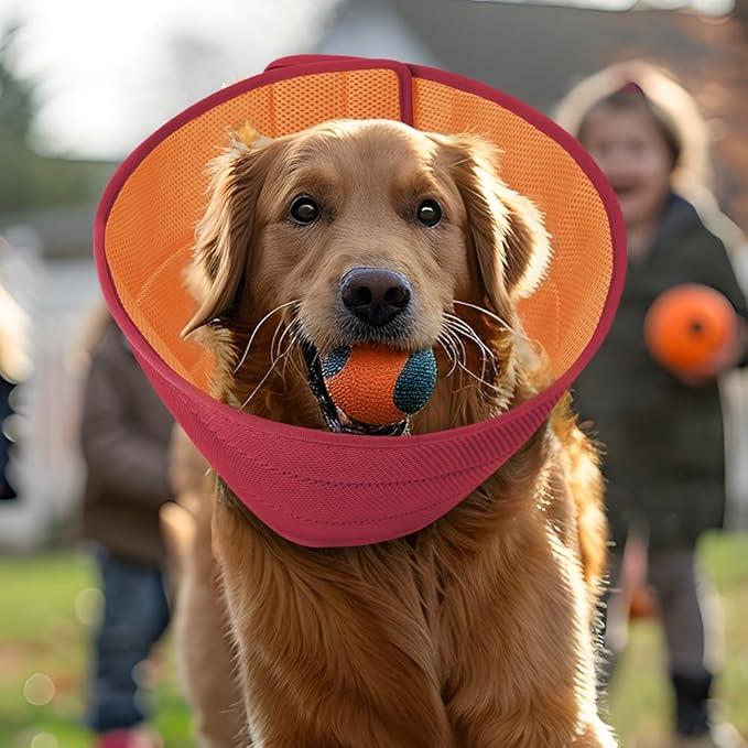 Inspack Soft Dog Cone Collar Alternative, E Cones for Small Dogs/Cat/Puppy to Stop Licking after Surgery, Comfortable All Paws Comfy Elizabethan Collars, Neuter Recovery Ecollars of Shame Alternatives
