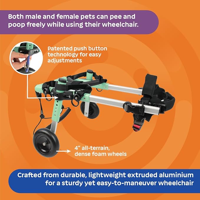 Walkin' Wheels Small Dog Wheelchair, Lightweight Dog Wheelchair for Back Legs, 11-14 lbs, for 7-8 inches Leg Height - Seafoam