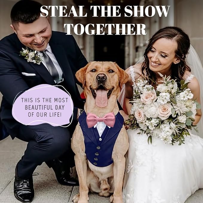 AVERYDAY Dog Tuxedo for Wedding Outfit, Dog Suit and Tie Costumes for Birthday, Halloween, Cosplay, Christmas Party, Pet Formal Wear with Bowtie, Tux for Medium Large Dogs, Bulldog, Labrador, Husky