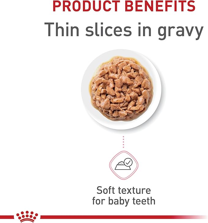 Royal Canin Feline Health Nutrition Kitten Thin Slices in Gravy Cat Food, 3 oz (Pack of 6)