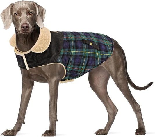 Winter Coat for Small and Medium Dogs, Puppy Plaid Jacket, Cotton Coat for Cold Weather, Windproof Warm Dog Garments, Pet Thickened Outfits Indoor Outdoor, Green XL