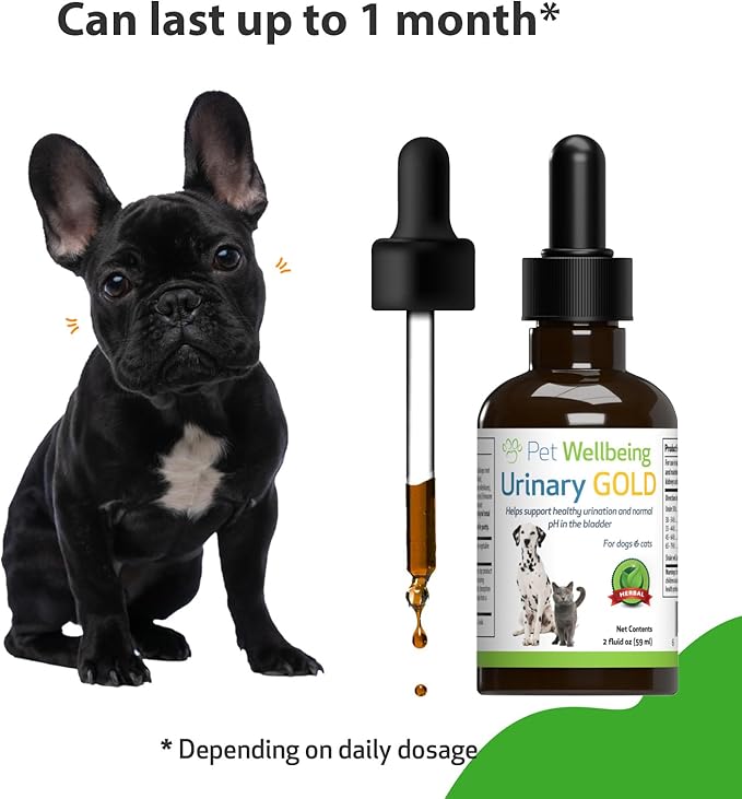 Pet Wellbeing Urinary Gold for Dogs - Vet-Formulated Multi-Herb Urinary Tract Support - Bladder Health & Urinary System Wellness - Natural Dog Supplement - Liquid Formula 2 oz (59ml)
