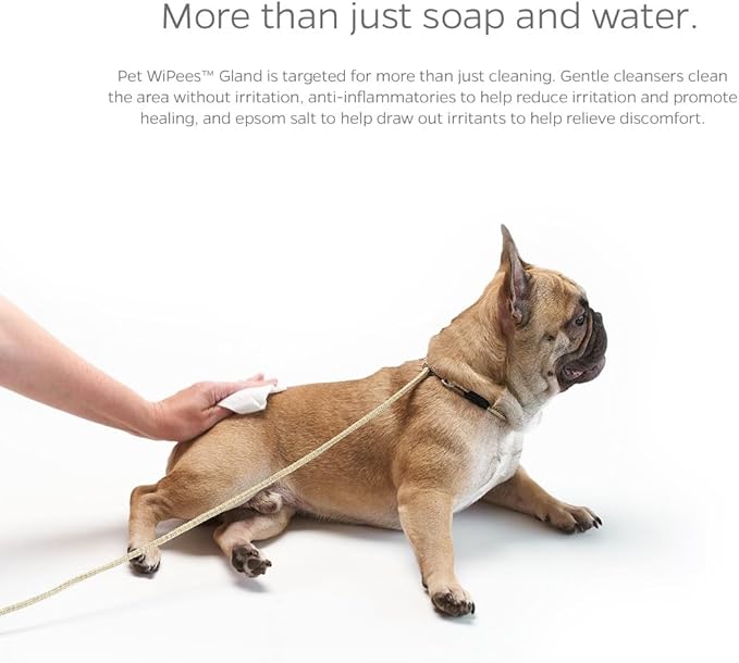 Gland Pet WiPees™ – 100 Wipes for Dogs & Cats Glands, All Natural Dog Anal Gland Cleaning, Cat Butt Wipes, Odor-Fighting Daily Gland Care (Natural, 100ct)