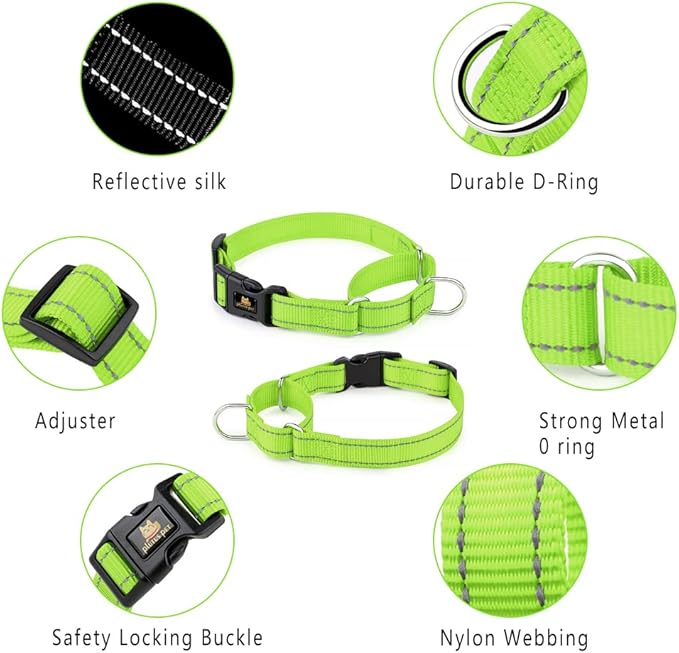 Plutus Pet Reflective Martingale Collar with Buckle - Durable and Adjustable Training Collar for No Pulling, Dog Choker Collar for Small Medium Large Dogs, Bright Green, M
