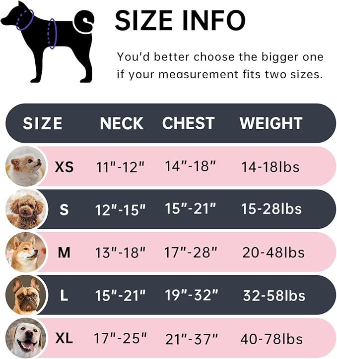 IVY&LANE No Pull Dog Harness with Leash Set, Reflective No Choke Pet Vest,Adjustable Oxford Dog Vest Harness with Easy Control Handle for Small Dogs (Vintage Blue,S)