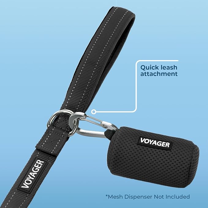 Voyager Reflective Dog Leash with Neoprene Handle, 5ft Long, Supports Small, Medium, and Large Breed Puppies, Cute and Heavy Duty for Walking, Running, and Training - Black (Leash), L