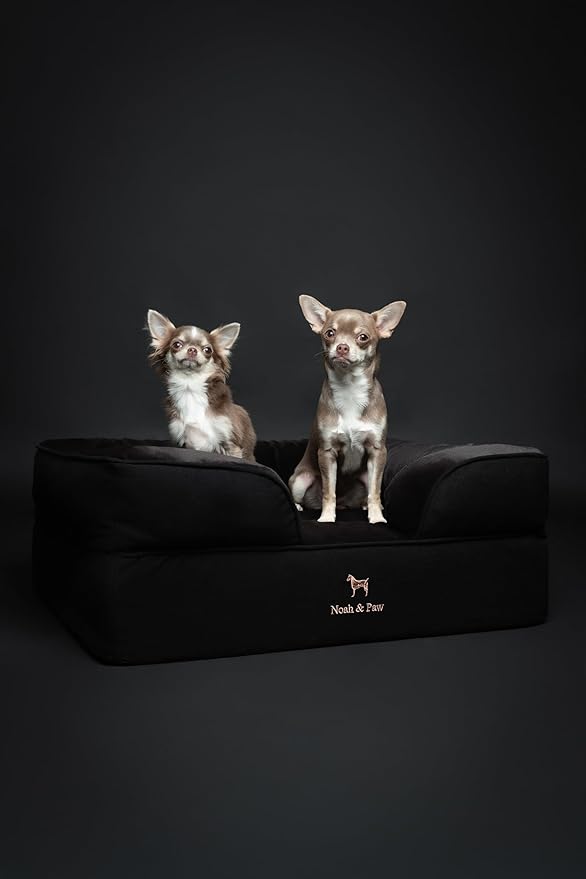 NOAH & PAW Dog Bed, 28x23x11 Inch, Orthopedic Dog Beds for Medium Size Pets, Eggshell Memory Foam Infused with Cooling Gel, Inner Cover, Waterproof, Machine Washable (Denim Sofa Collection)