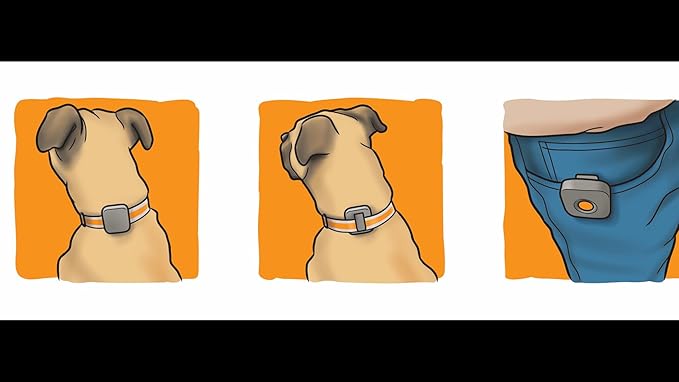 Dog Training Collar with Remote Controller - E Collar for Dogs Training Small, Medium, Large Dog Training, Waterproof Dog Collar, Rechargeable Dog Training & Behavior Aids Dog Accessories