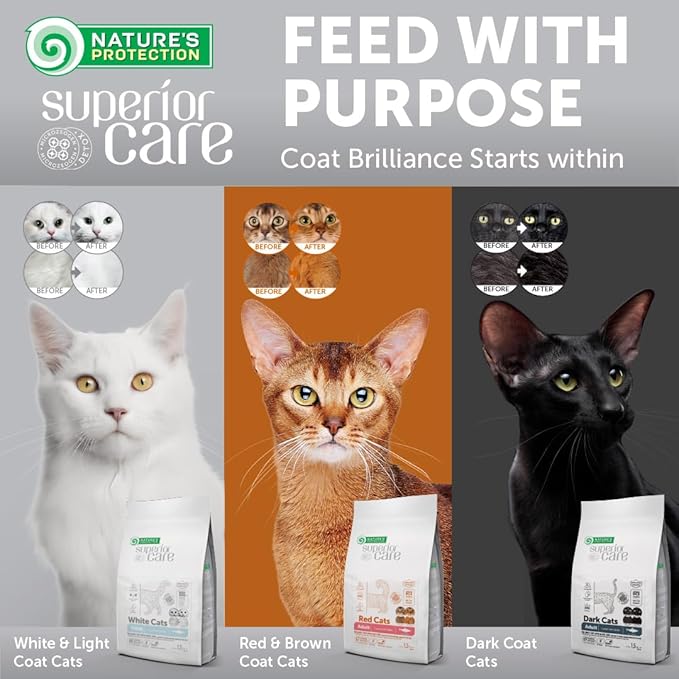 Nature's Protection Superior Care White Cats Grain Free Dry Cat Food with Herring and Oral Care Treats with Poultry